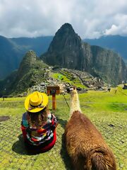 View of the whole Citadel from the Guardian's House