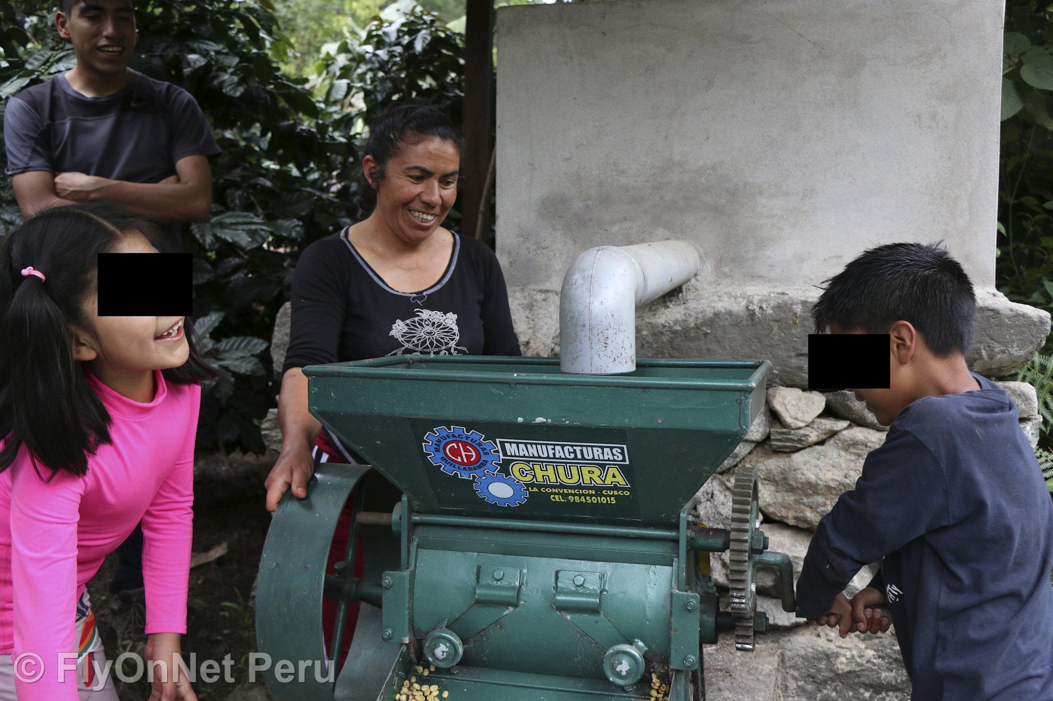 Fotóalbum: Visit to the coffee plantation