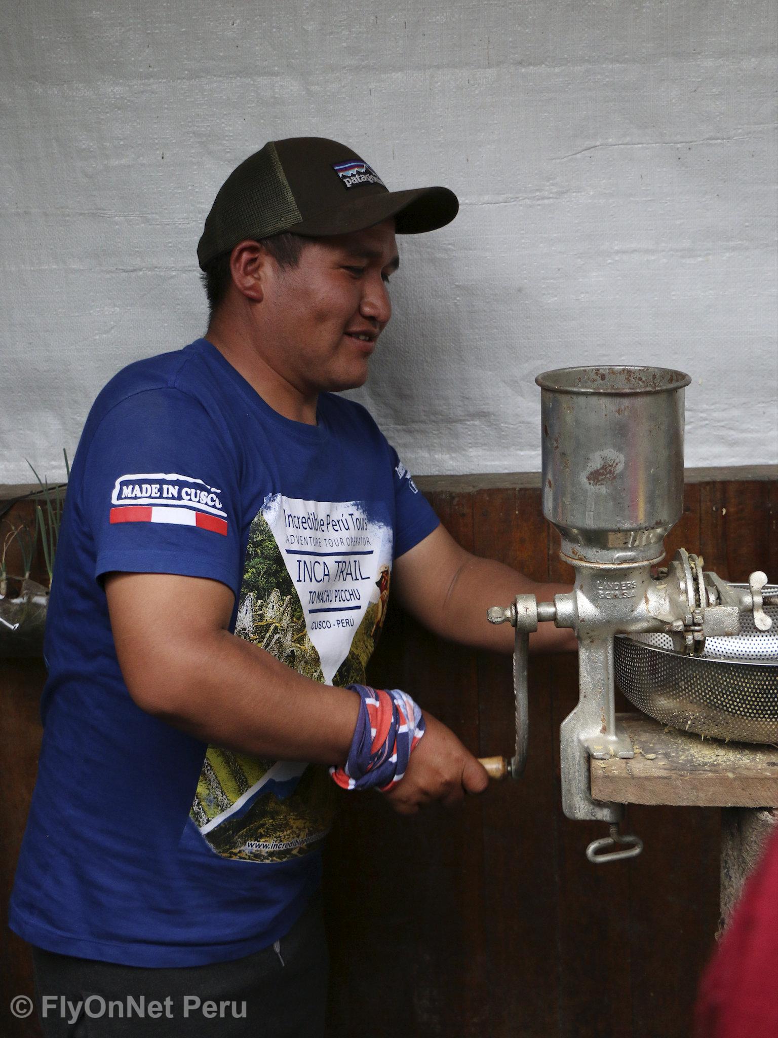 Fotóalbum: Visit to the coffee plantation