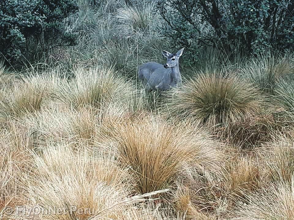 Fotóalbum: Inca Trail