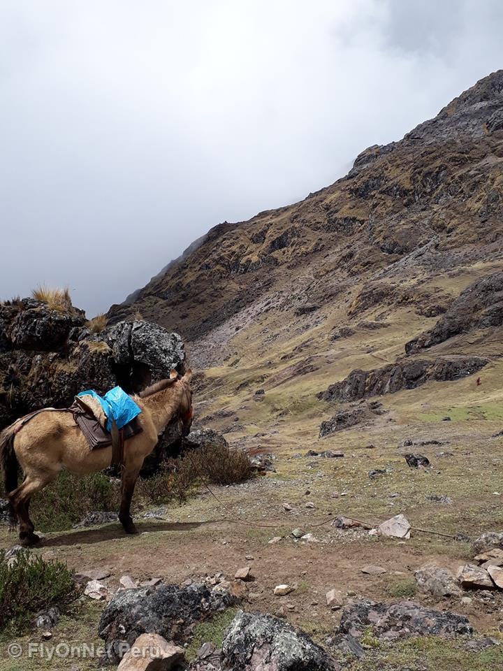 Fotóalbum: Salcantay