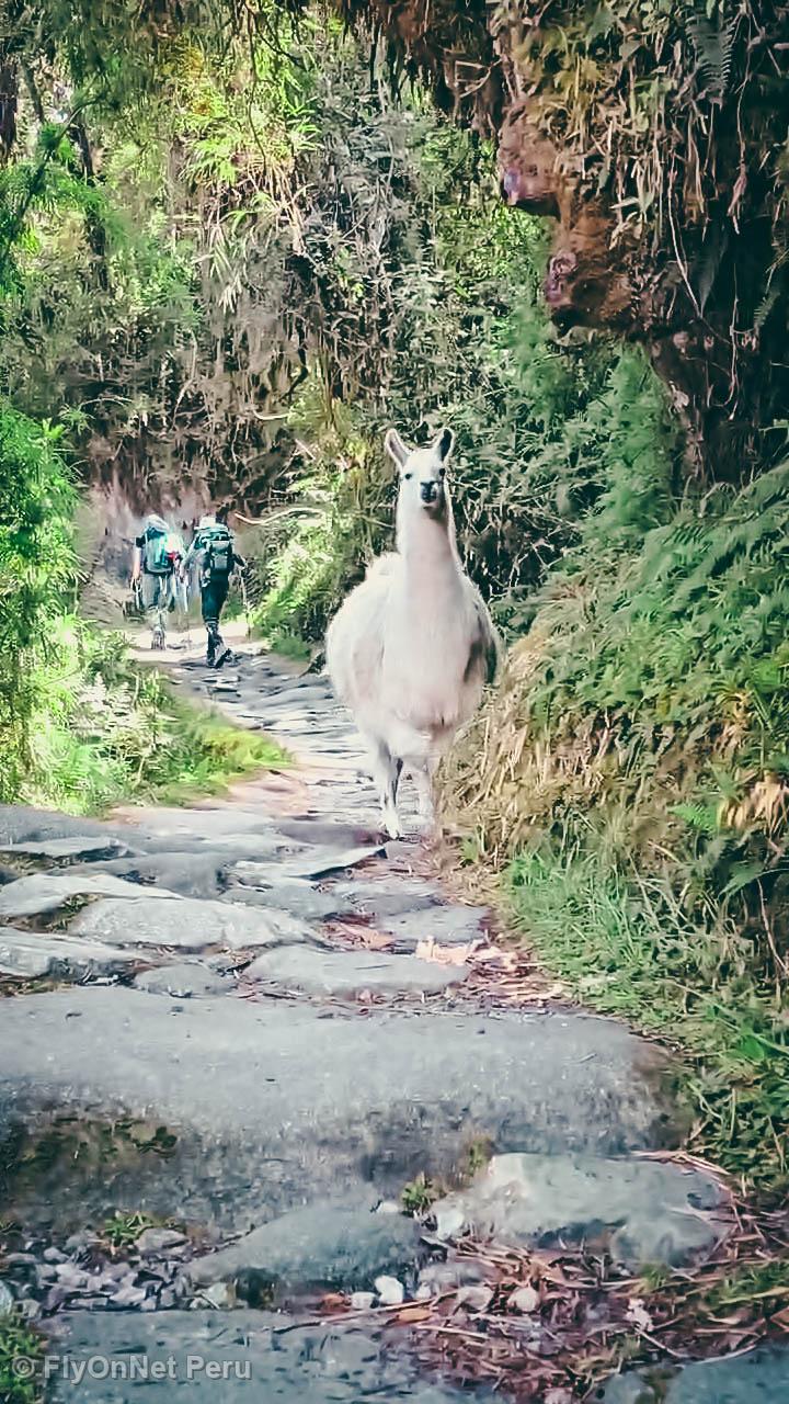 Fotóalbum: Inca Trail