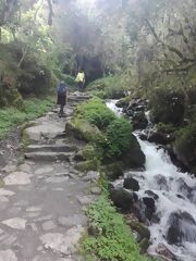 Inca Trail