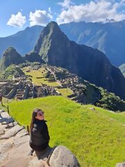 Machu Picchu